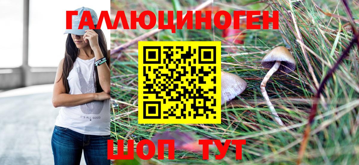 Галлюциногенные грибы GOLDEN TEACHER  Вход с VPN  Сосновый Бор  Псилоцибиновые грибы Psilocybine cubensis 